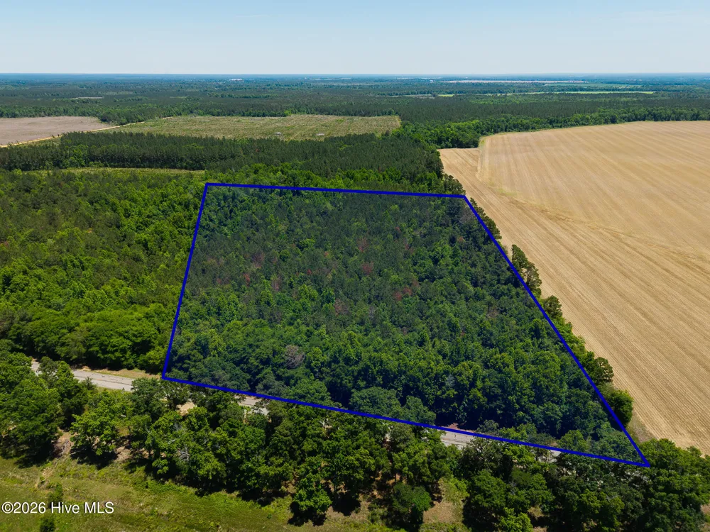 18.5 Acres Georgia 305 Highway Midville, GA 30441