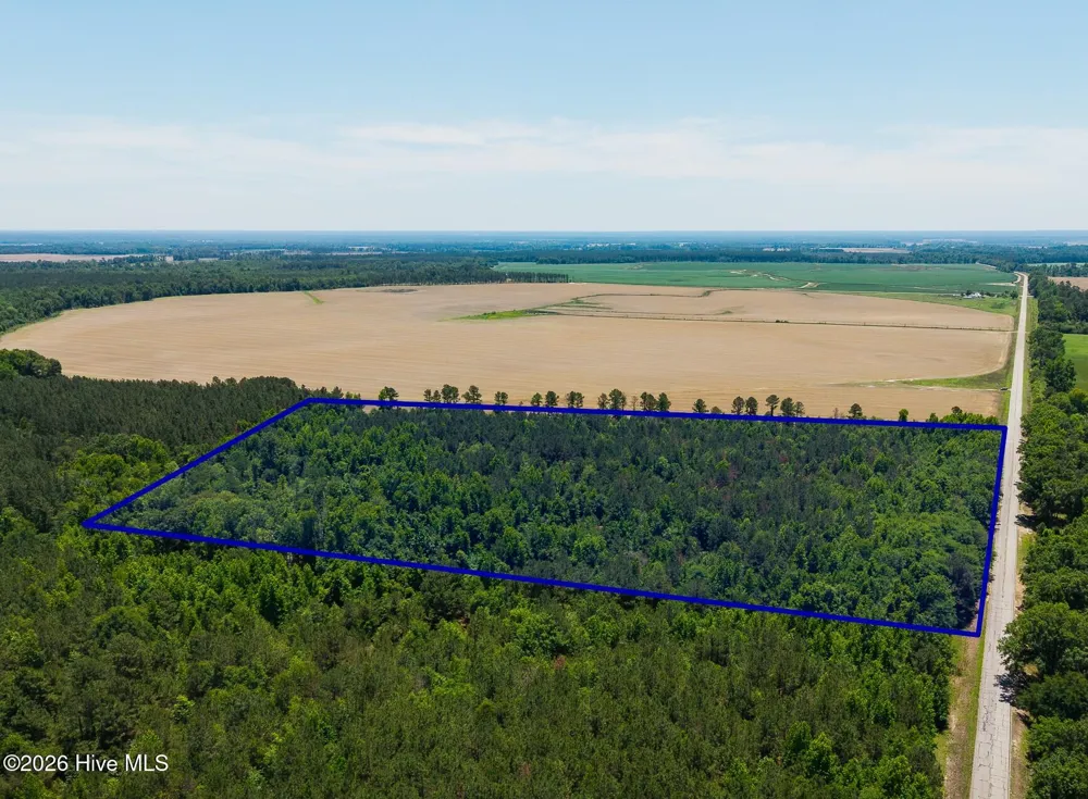 18.5 Acres Georgia 305 Highway Midville, GA 30441