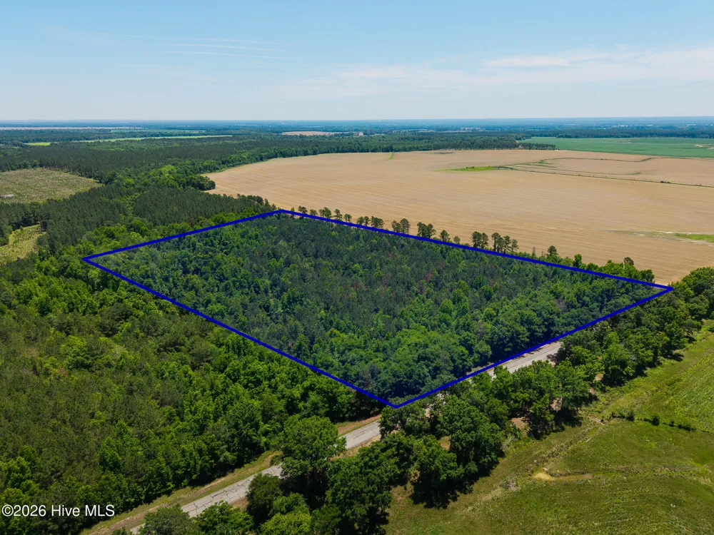 18.5 Acres Georgia 305 Highway Midville, GA 30441