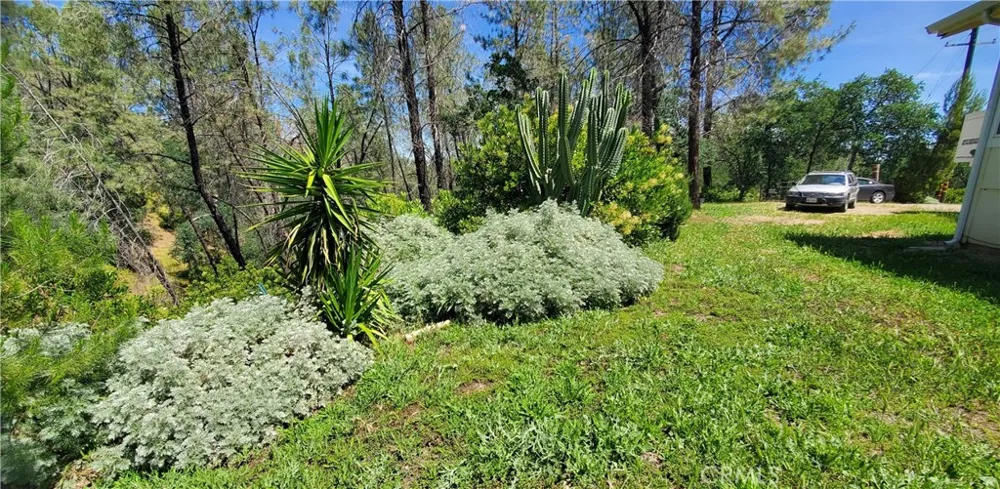 16080 Oakridge Corning, CA 96021