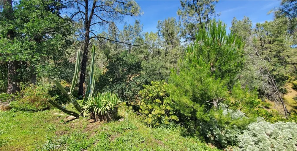16080 Oakridge Corning, CA 96021