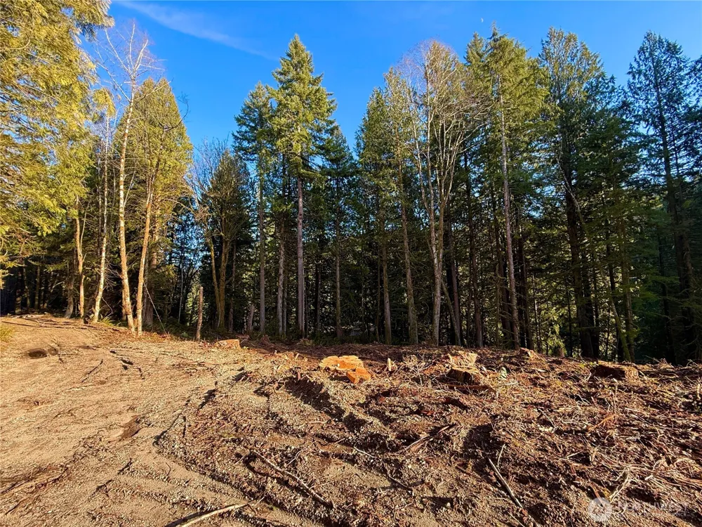 105 E Lakewood Drive Belfair, WA 98528