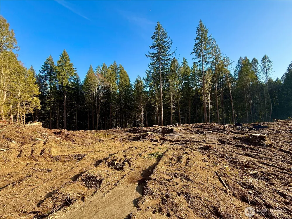 105 E Lakewood Drive Belfair, WA 98528