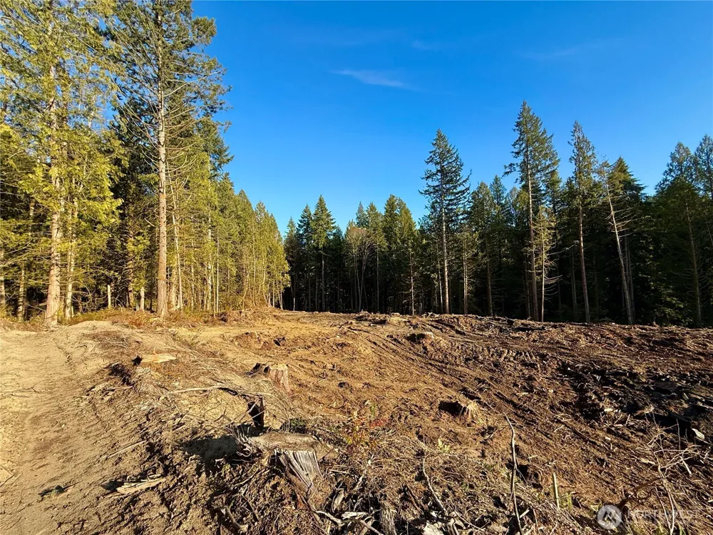 105 E Lakewood Drive Belfair, WA 98528