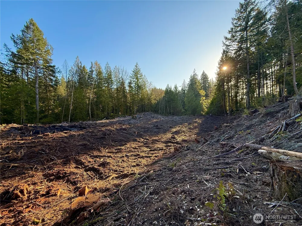 105 E Lakewood Drive Belfair, WA 98528