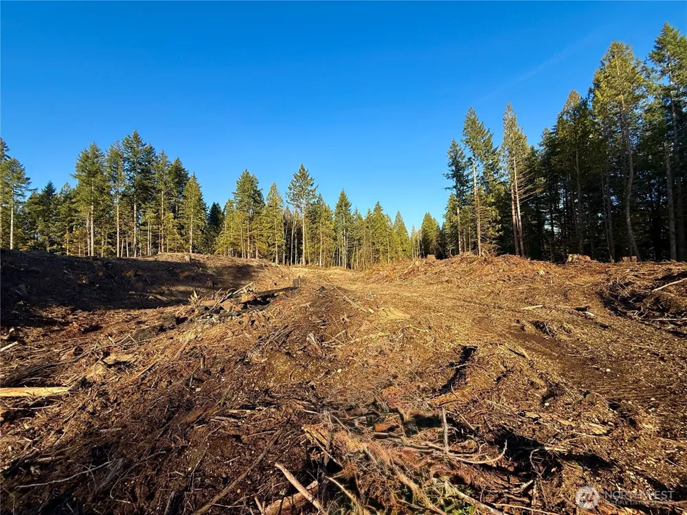 105 E Lakewood Drive Belfair, WA 98528