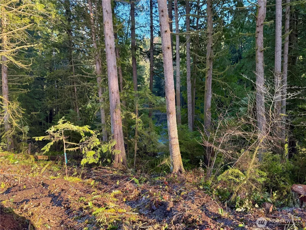 105 E Lakewood Drive Belfair, WA 98528
