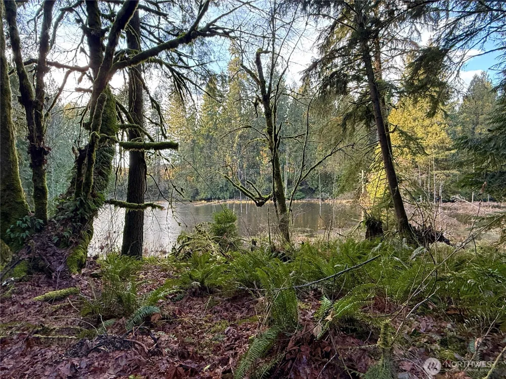 105 E Lakewood Drive Belfair, WA 98528