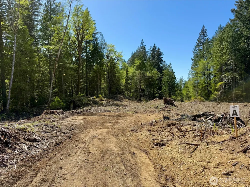 105 E Lakewood Drive Belfair, WA 98528