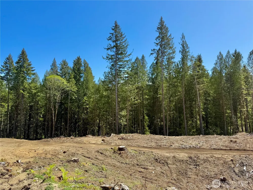 105 E Lakewood Drive Belfair, WA 98528