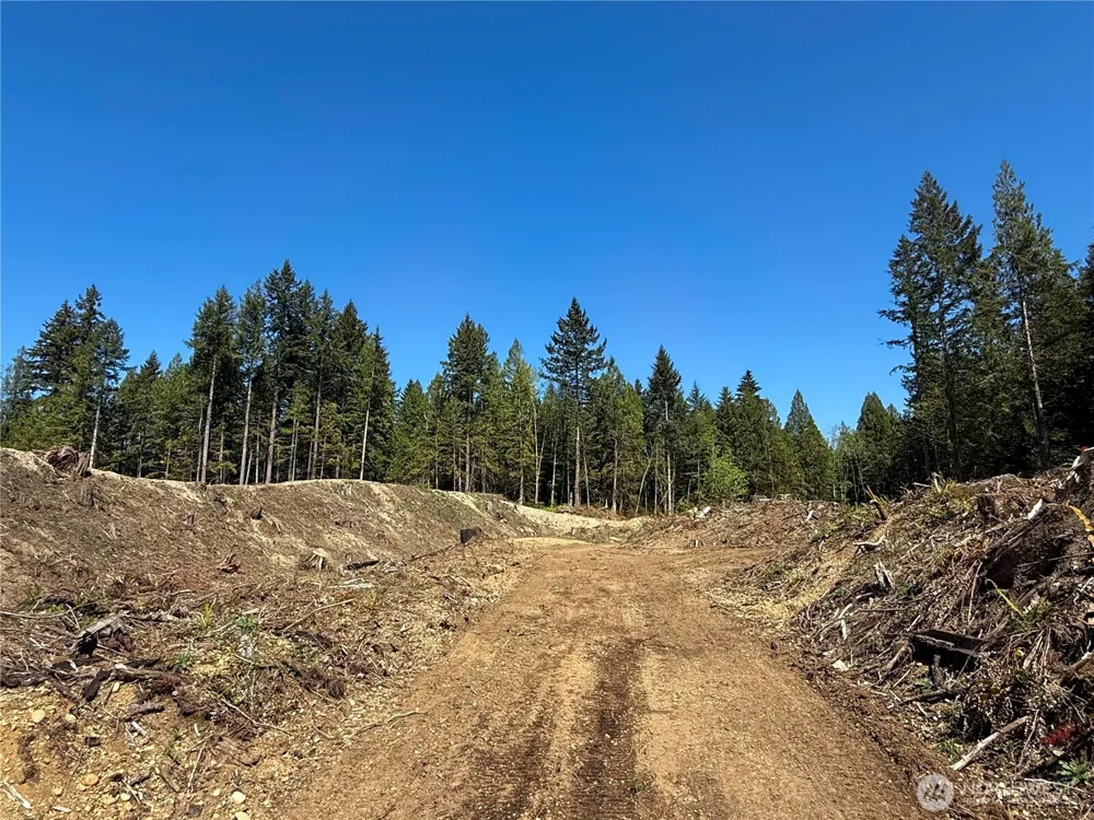 105 E Lakewood Drive Belfair, WA 98528