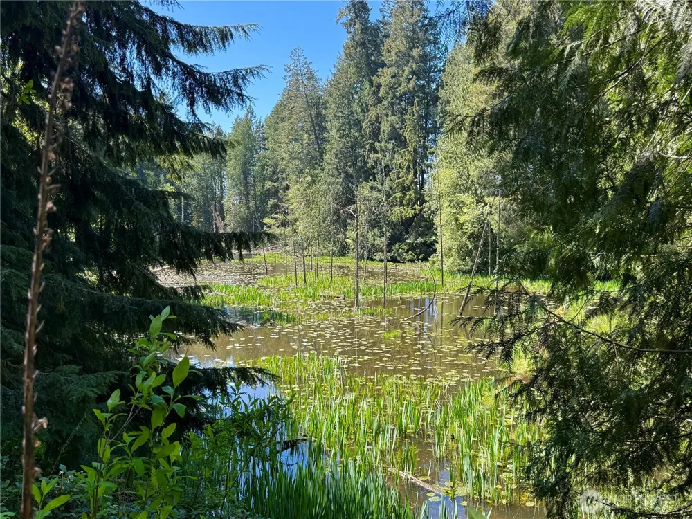 105 E Lakewood Drive Belfair, WA 98528