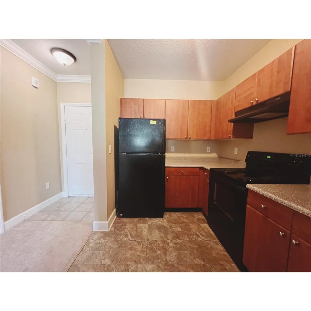 304 E SOUTH STREET #3019 Orlando, FL 32801