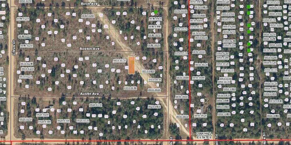 XX BOSTON AVE Interlachen, FL 32148