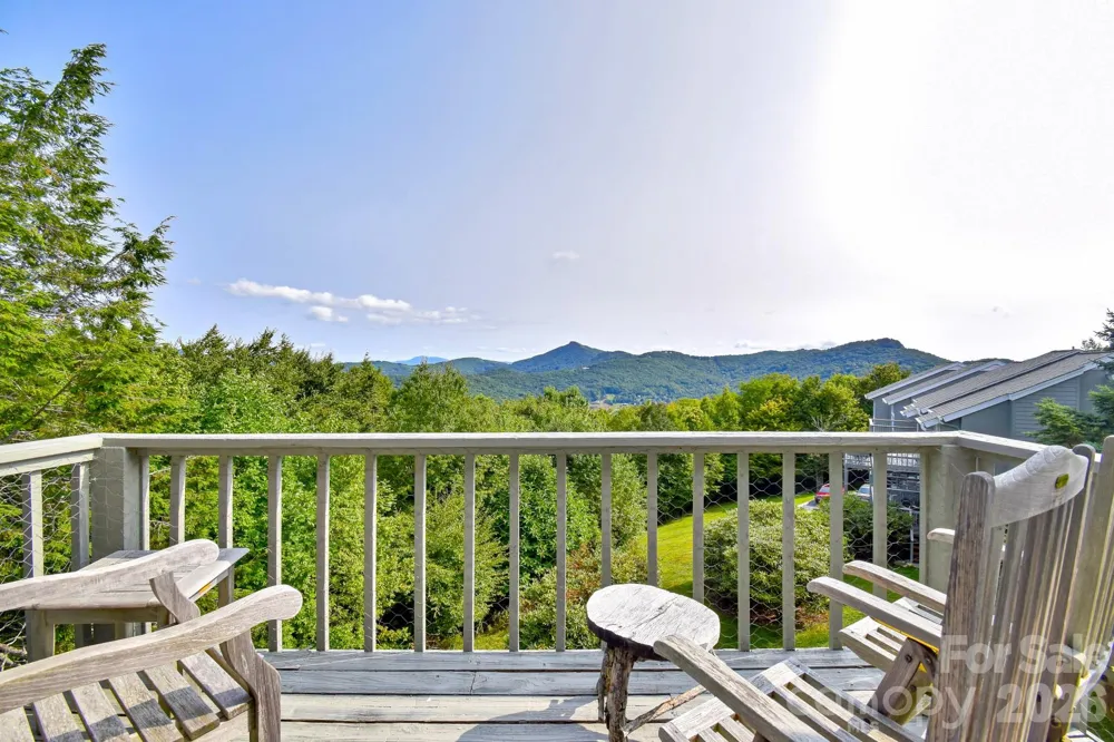 367 Skyleaf Drive #D15 Sugar Mountain, NC 28604