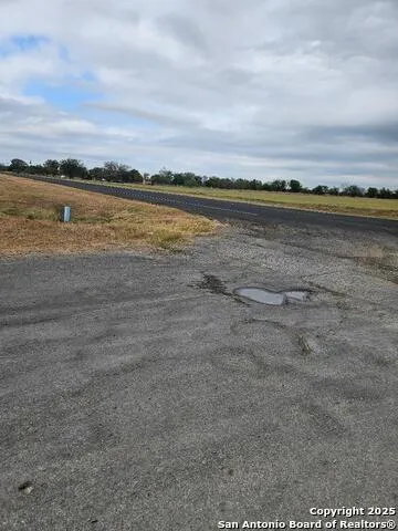 TBD FM 463 LOT # 11 Natalia, TX 78059