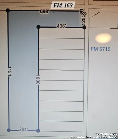 TBD FM 463 LOT # 11 Natalia, TX 78059