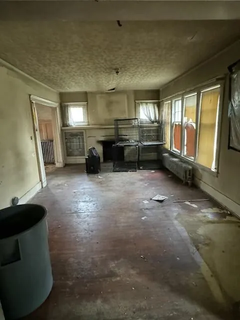 133 Monterey Street Highland Park, MI 48203