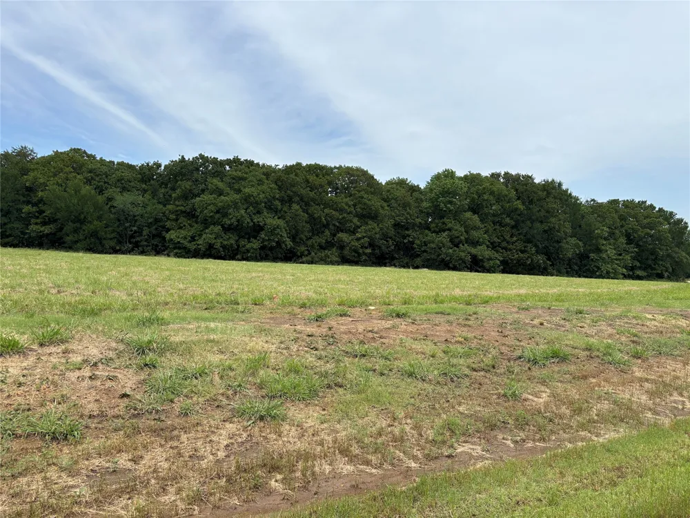 White Tail Way Pottsboro, TX 75076