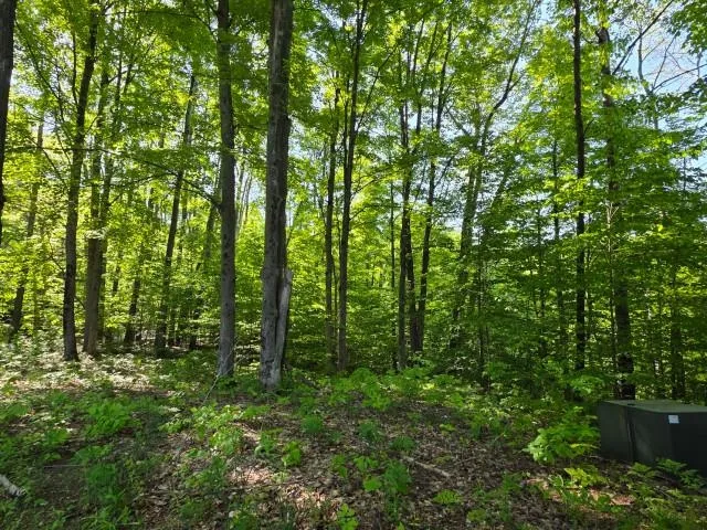 2 Forest Trail Custer Township, MI 49615