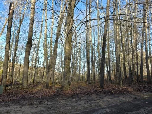 2 Forest Trail Custer Township, MI 49615