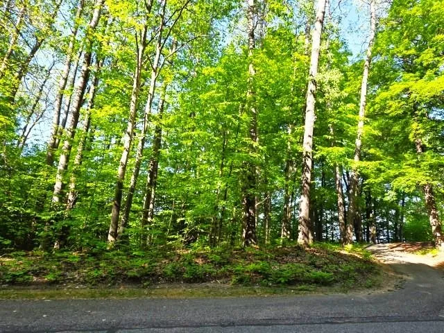 2 Forest Trail Custer Township, MI 49615