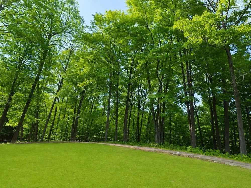 2 Forest Trail Custer Township, MI 49615