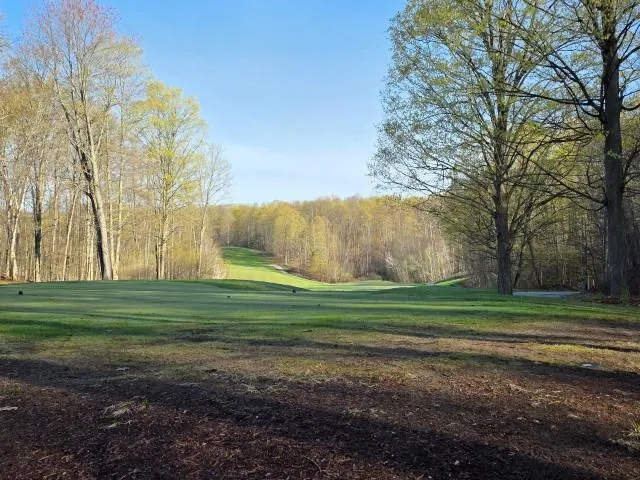 2 Forest Trail Custer Township, MI 49615