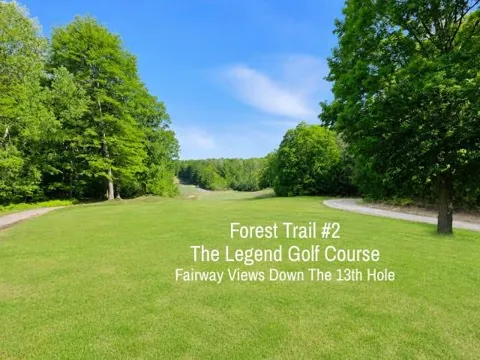 2 Forest Trail
