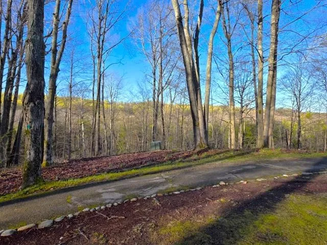 2 Forest Trail Custer Township, MI 49615