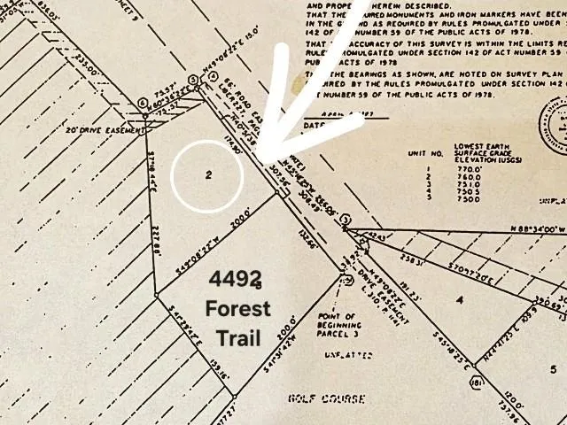 2 Forest Trail Custer Township, MI 49615