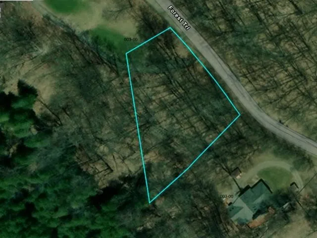 2 Forest Trail Custer Township, MI 49615