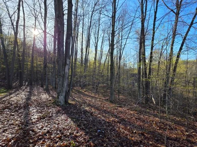 2 Forest Trail Custer Township, MI 49615