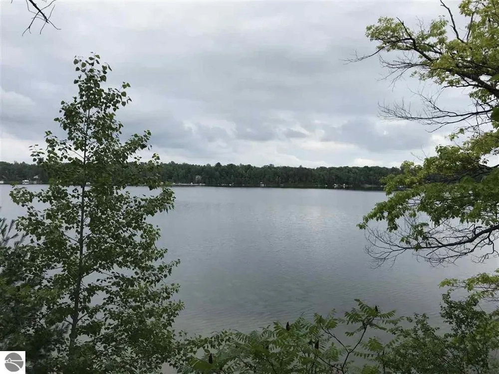 Wild Cherry Lane Plainfield Township, MI 48739