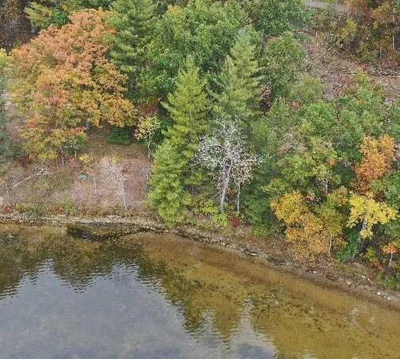 Wild Cherry Lane Plainfield Township, MI 48739