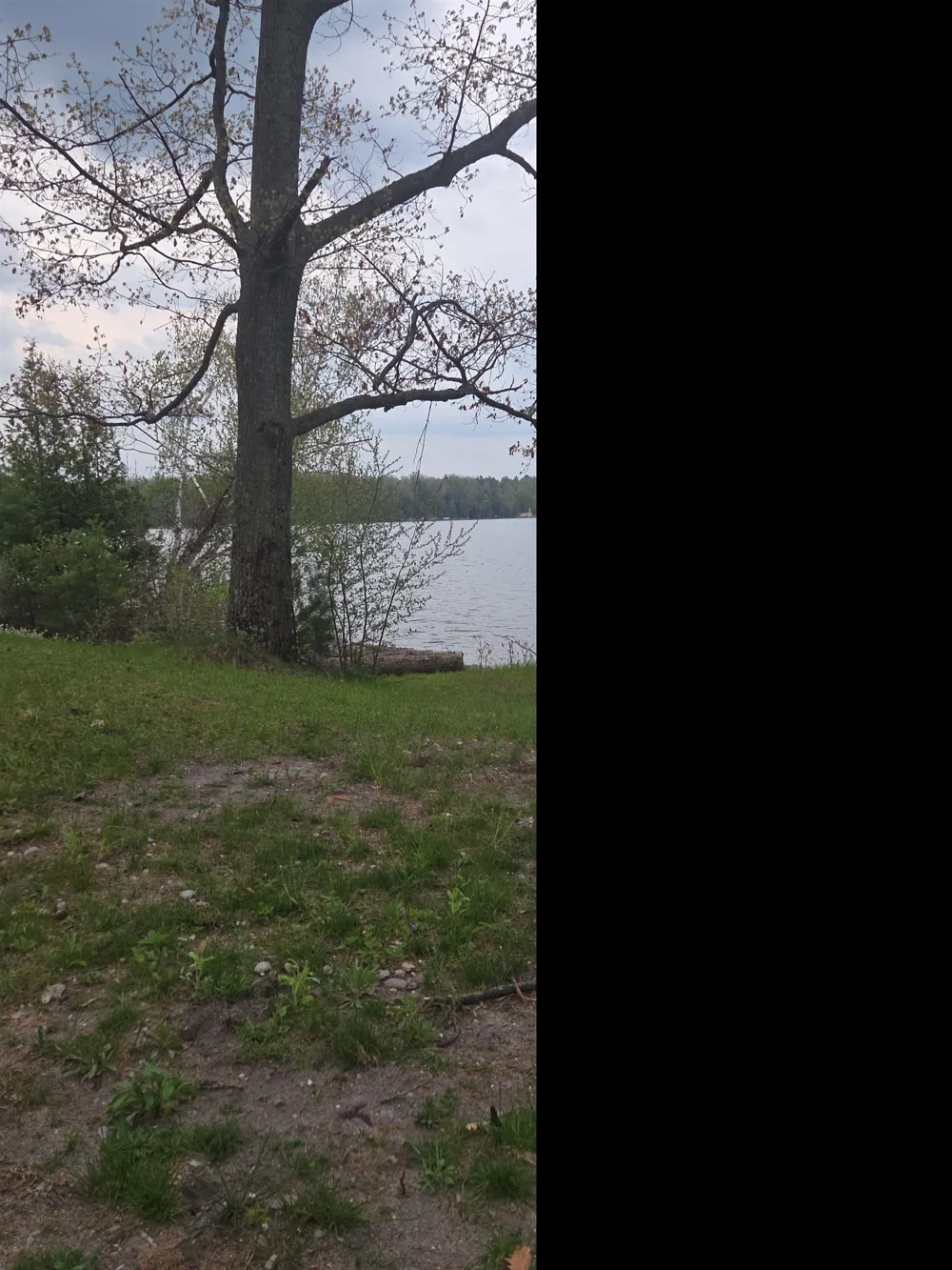 Wild Cherry Lane Plainfield Township, MI 48739