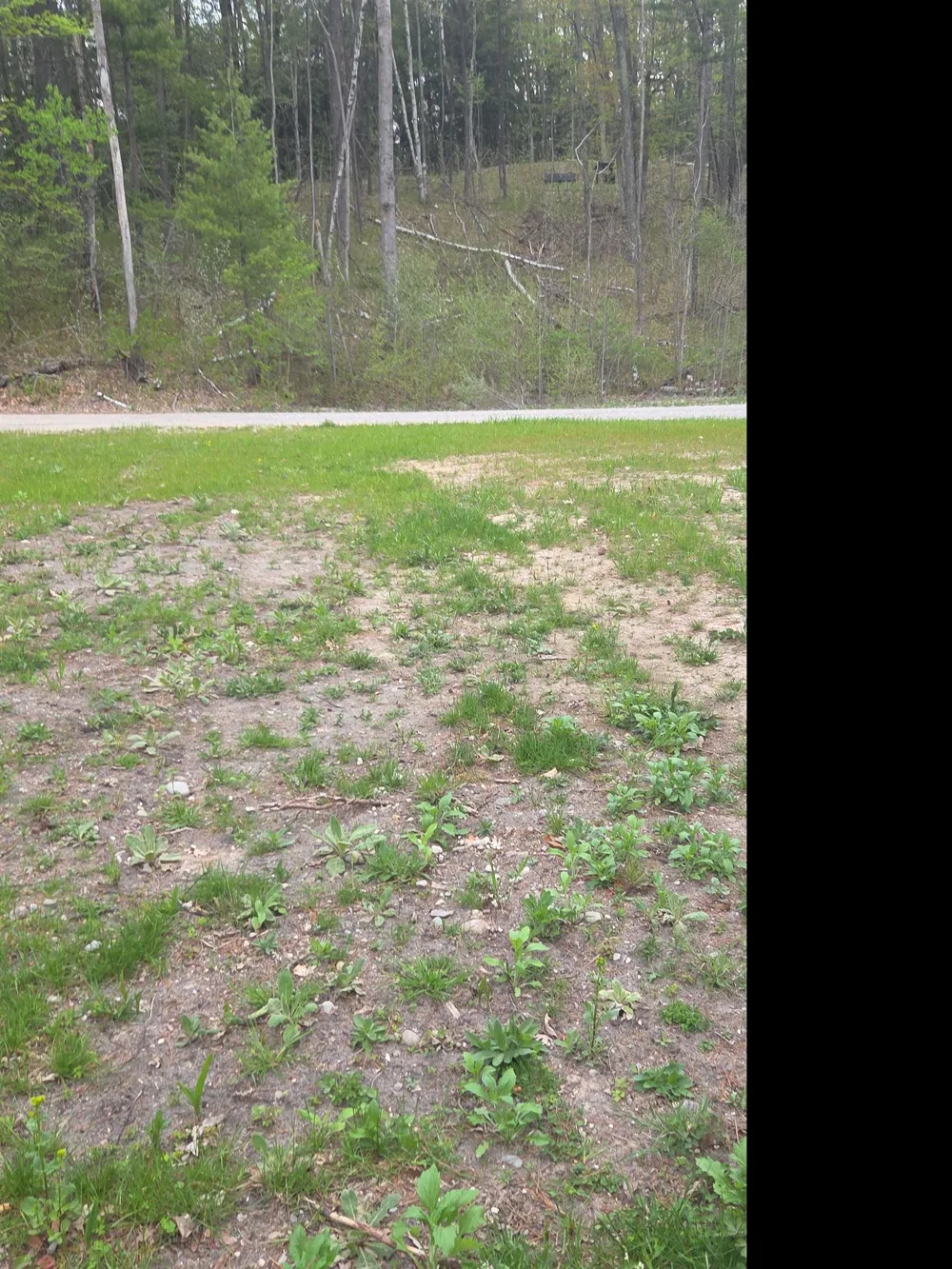 Wild Cherry Lane Plainfield Township, MI 48739