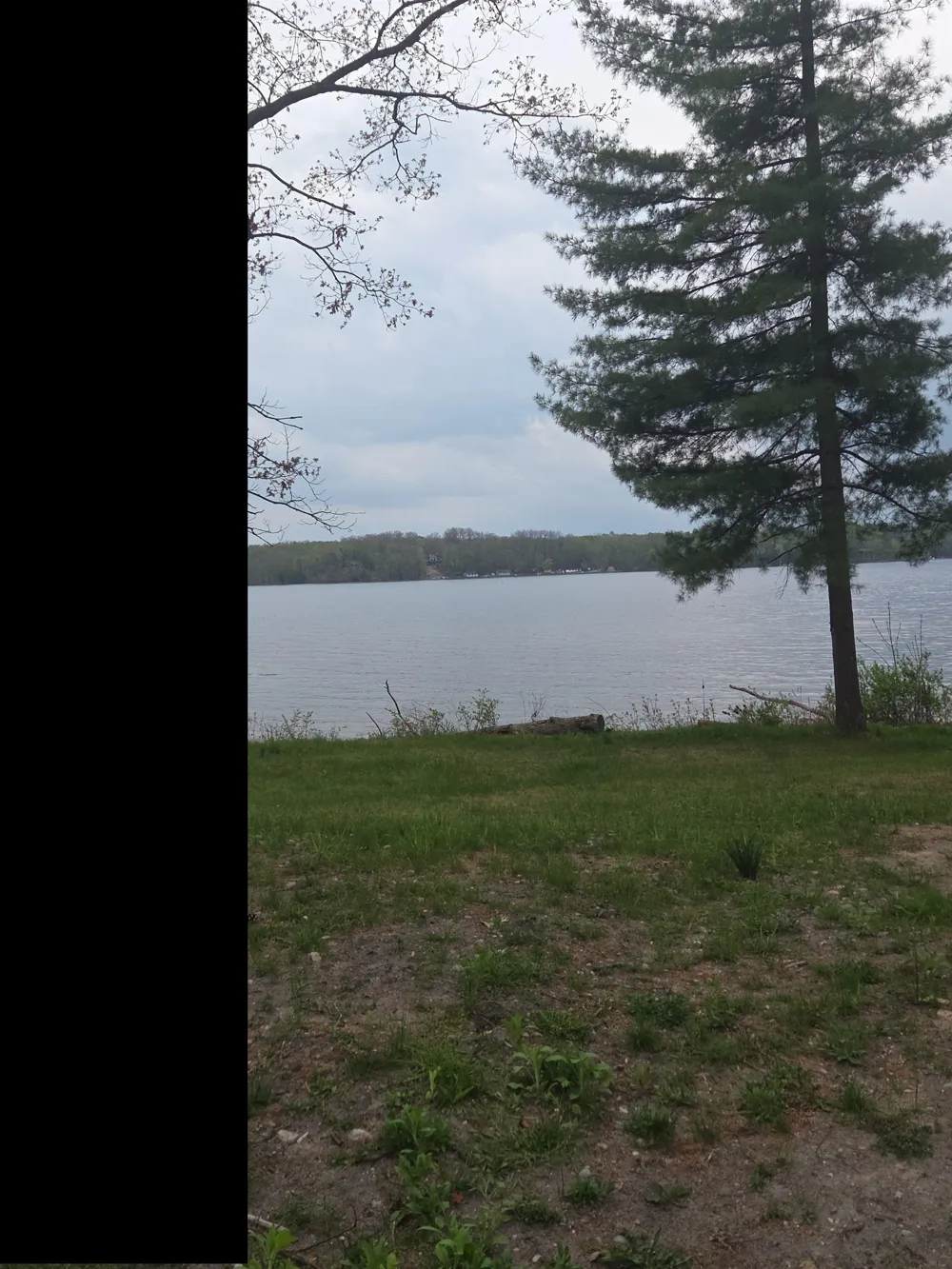 Wild Cherry Lane Plainfield Township, MI 48739