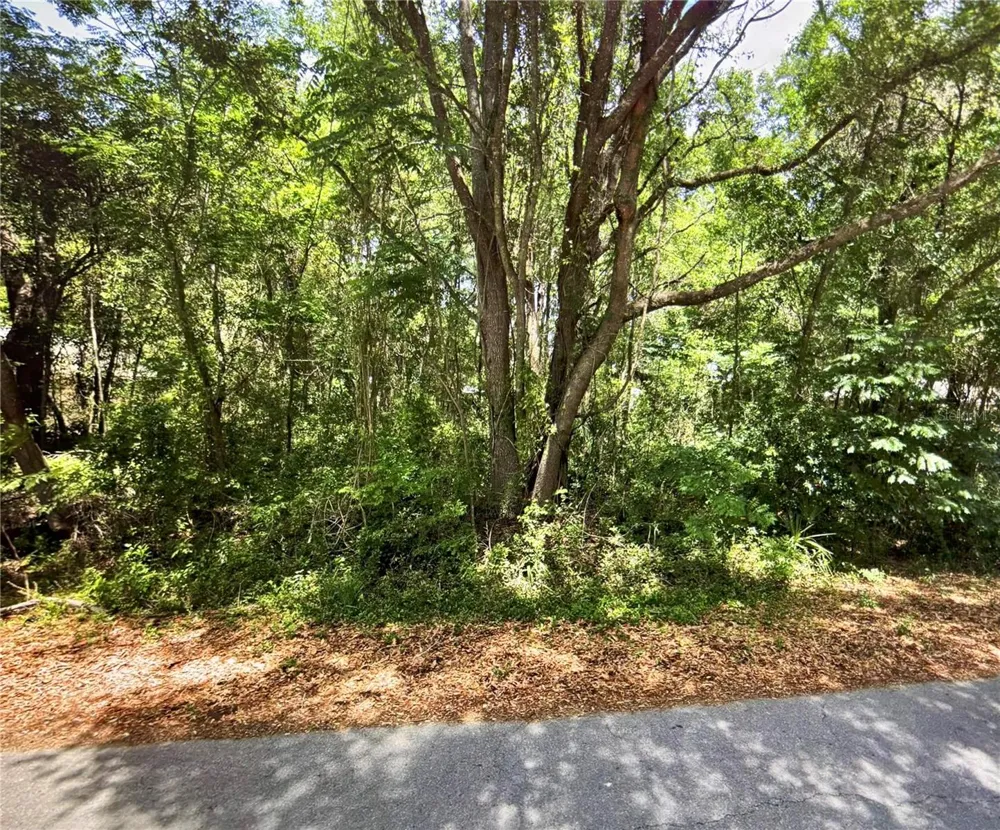 41 PINE TRACE COURSE ocala, FL 34472