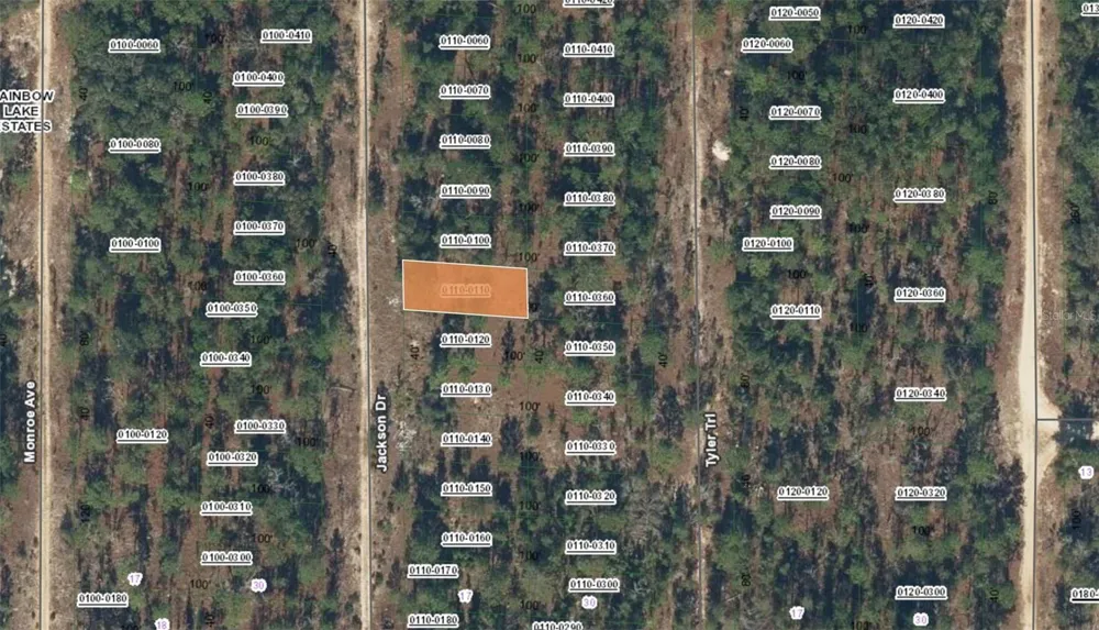 XX JACKSON DRIVE Hawthorne, FL 32640