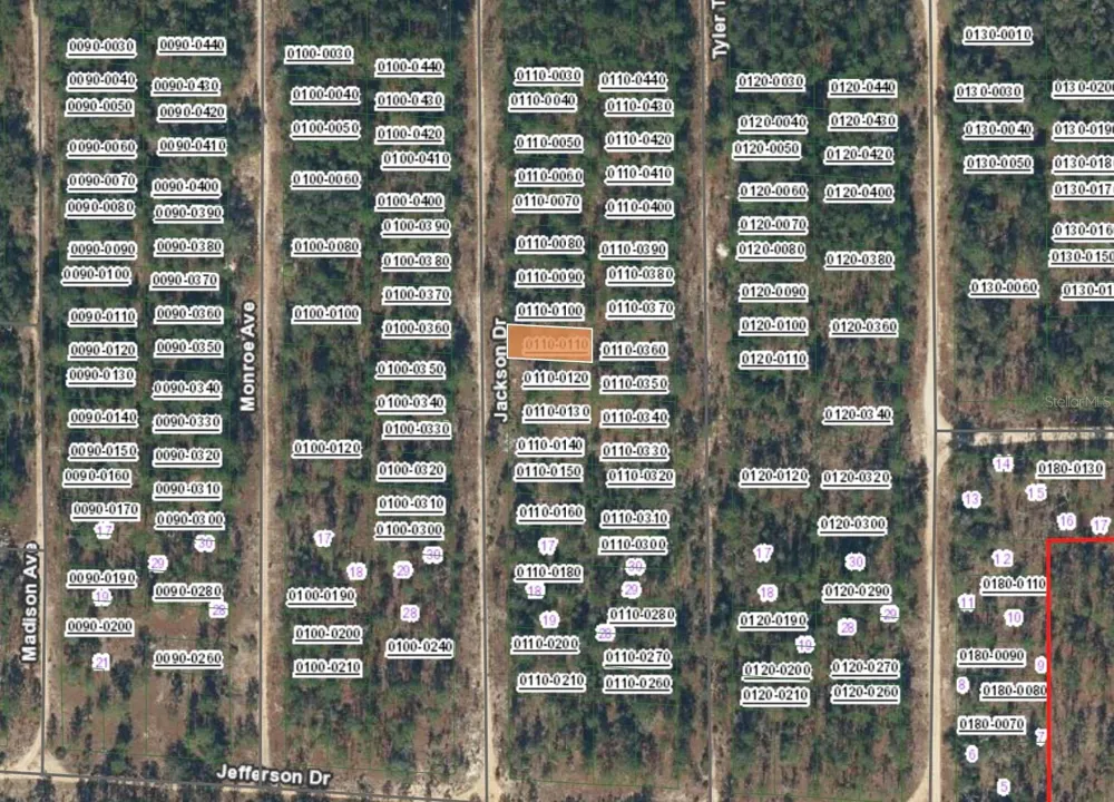XX JACKSON DRIVE Hawthorne, FL 32640