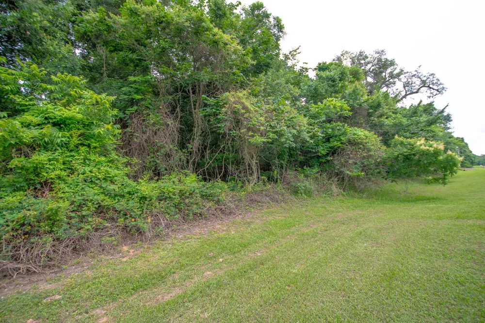 1015 W Point Drive Rosharon, TX 77583