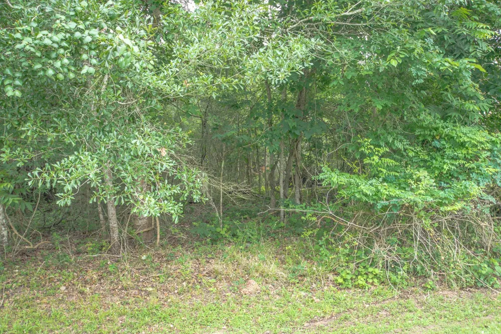 1015 W Point Drive Rosharon, TX 77583