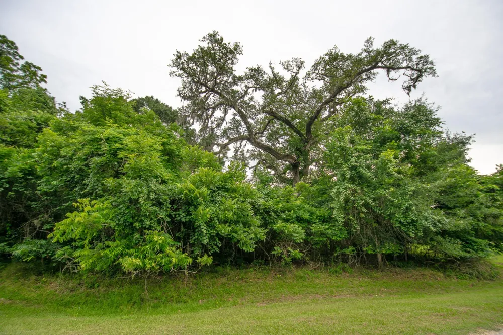 1015 W Point Drive Rosharon, TX 77583