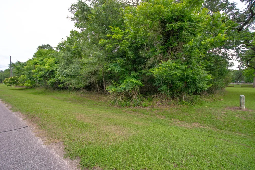 1015 W Point Drive Rosharon, TX 77583