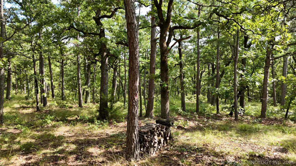 40215 Michael Lane Wister, OK 74966