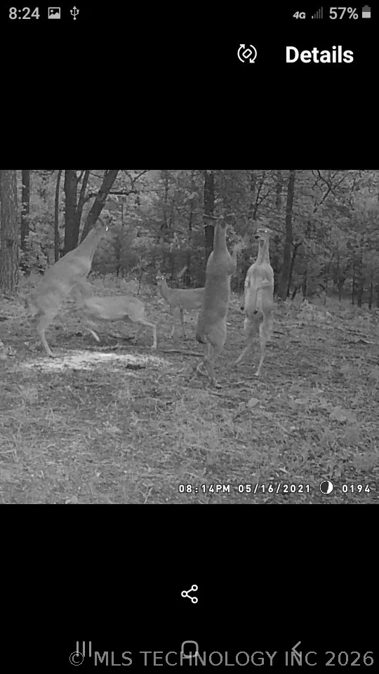 40215 Michael Lane Wister, OK 74966