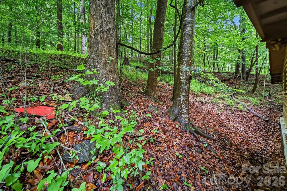 260 Cherrywood Lane Sharon, SC 29742