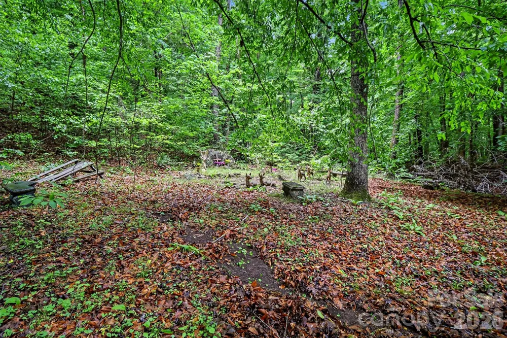 260 Cherrywood Lane Sharon, SC 29742