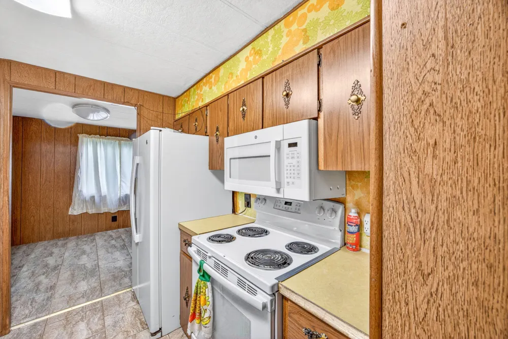 109 Park Street Manton, MI 49663